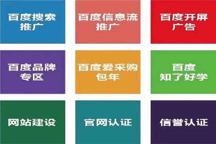 某某SEM服务公司成功案例：从数据出发的营销策略